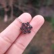 925 Sterling Silver Colored Snow Flake Necklace - colored Zircon